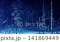 北海道美瑛青池燈飾 141869449