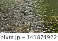 Tranquil water canal in a lush green garden, stock footage 141874922