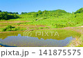 星峠梯田（新潟縣十日町市） 141875575