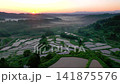 星峠梯田（新潟縣十日町市） 141875576