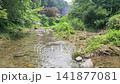 Crystal Clear and Cool Water Flowing Through a Lush Mountain Valley in Korea in Summer 141877081