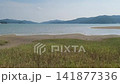 Timelapse of High Tide Water Rising Over the Sandy Beach and Grassy Coast 141877336