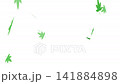 舞いながら落ちる紅葉のアニメーション　銀杏　もみじ　 141884898
