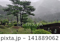 Atmospheric Mountain Garden Covered in Thick Fog and Mist 141889062