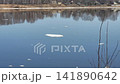 Ice floes float white on the river On a clear spring day on the Volga 141890642