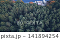 Flight over the forest, to a site on the lake with a lawn and a yacht standing on it 141894254