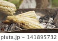 Person grilling fresh corn on the cob over hot coals 141895732
