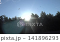 A lot of mosquitoes attack a person 141896293