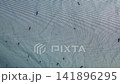 A lot of mosquitoes attack a tent 141896295