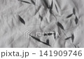 Delicate shadow of dried oat panicles gently sways across wrinkled white linen, revealing the fabric natural woven texture. Minimal botanical background with soft movement. 141909746