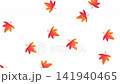 舞いながら落ちる紅葉のアニメーション　銀杏　もみじ　 141940465