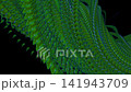 A Green Leaf With A Black Background A Green Leaf With A Black Background 141943709