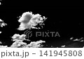 A monochrome, high-contrast sky time-lapse. 141945808