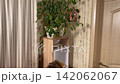 Family Xmas preparations Family Xmas preparations 142062067