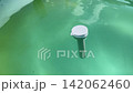 Floating thermometer bobbing in swimming pool 142062460