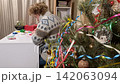 Family Xmas preparations Family Xmas preparations 142063094