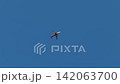 Airplane gliding through a bright blue sky, with visible wings and tail, capturing the essence of flight in a serene atmosphere 142063700