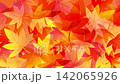 落ちた紅葉が広がるアニメーション　銀杏　もみじ 142065926
