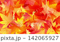 舞いながら落ちる紅葉のアニメーション　銀杏　もみじ　 142065927