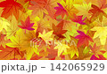 落ちた紅葉が広がるアニメーション　銀杏　もみじ 142065929