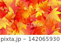落ちた紅葉が広がるアニメーション　銀杏　もみじ 142065930