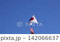 Big fishing flag 142066637