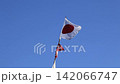Big fishing flag 142066747