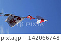 Big fishing flag 142066748