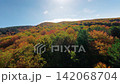 Flying over vibrant autumn treetops Flying over vibrant autumn treetops 142068704