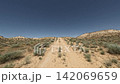 Off-road driving on sandy trail through desert landscape with vegetation 142069659