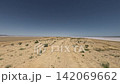 Off-road driving on sandy terrain with sparse vegetation and clear blue sky 142069662