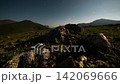 Nighttime landscape with rocks and wildflowers under starry sky 142069666