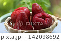 Lotus fruit Lotus fruit 142098692