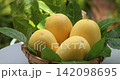 yellow passion fruit yellow passion fruit 142098695