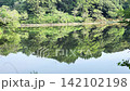 【4K】水鏡のように木々を映し出す静かな池のリフレクション風景 【4K】水鏡のように木々を映し出す静かな池のリフレクション風景 142102198