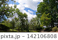 夏天藍天公園 142106808