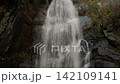 Scenic waterfall stream pouring over dark wet rocks. 142109141