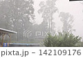 Rain pours down on backyard with pool, trees in rural setting during stormy day 142109176
