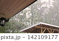 Rain pours down around wooden building as trees sway during thunder stormy afternoon. 142109177