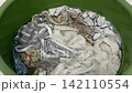 White and patterned clothes soaking in soapy water in green plastic basin. Hand wash, laundry day, household chores, cleaning at home. 142110554