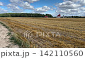 Harvested field with rows of straw near village with church and forest under cloudy blue sky. Rural landscape, summer harvest, countryside scenery. 142110560