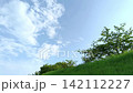 緑に縁取られた青空のシンプルな背景素材 142112227