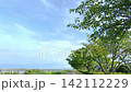 緑の木々と広い空を望む開放的な風景 142112229
