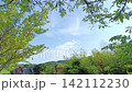 緑に囲まれた空と住宅の屋根がある風景 142112230