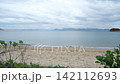 Seaside plants swaying in the wind, and gentle waves lapping against the sandy beach. 142112693