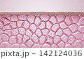 3DCG: The serum penetrates the stratum corneum of the skin using spicules, and elastin provides elasticity. 142124036