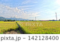 Car side window view of rice fields terrace farming plantation in Yilan,Taiwan 142128400