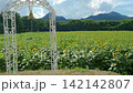 煙山ひまわりパークのフォトスポット 142142807