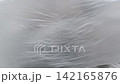 Body beauty and fashion advertisement. Female in underwear laying on the bed in the studio. Young woman seminude in lingerie laying posing under thin sheet of oilcloth wrap, staring at camera. 142165876