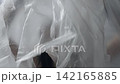 Body beauty and fashion advertisement. Female in underwear sitting on the bed in the studio. Young woman seminude in lingerie sits posing under thin sheet of oilcloth wrap, looks at camera. 142165885